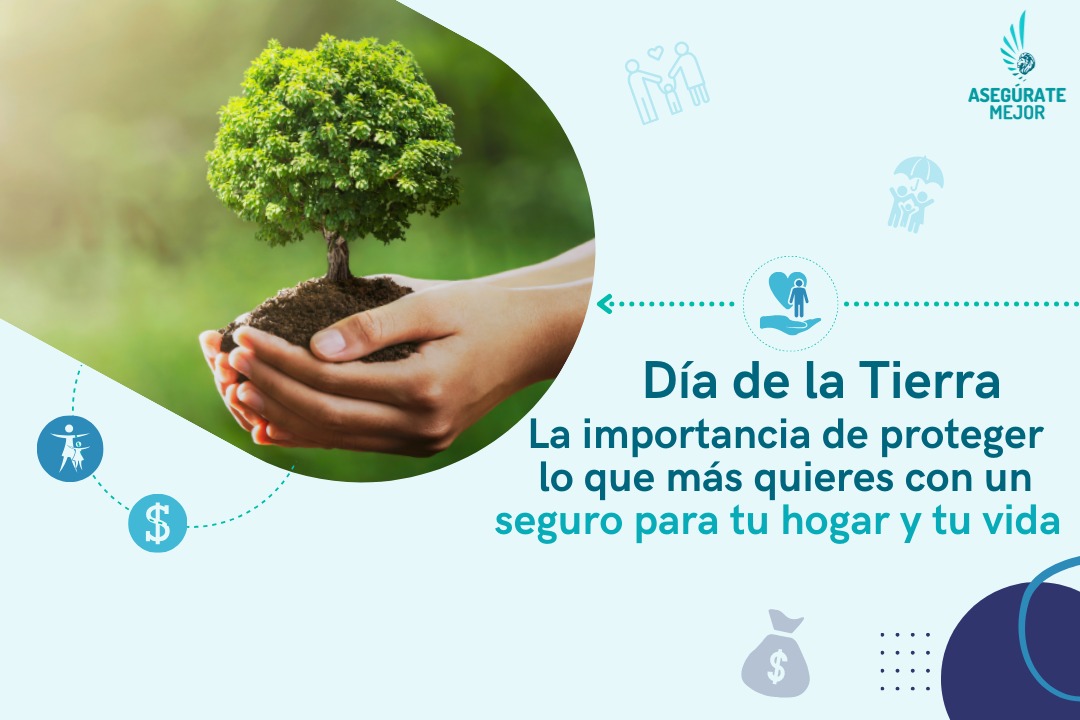 Manos sosteniendo un árbol pequeño con tierra por el Día de la Tierra