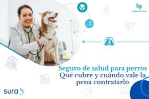 Seguro de salud para perros