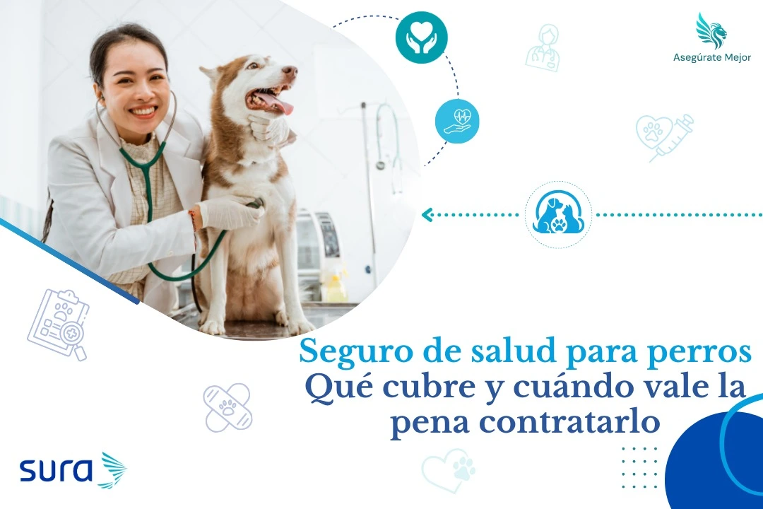 Veterinaria abrazando a un perro husky, seguro de salud para perros