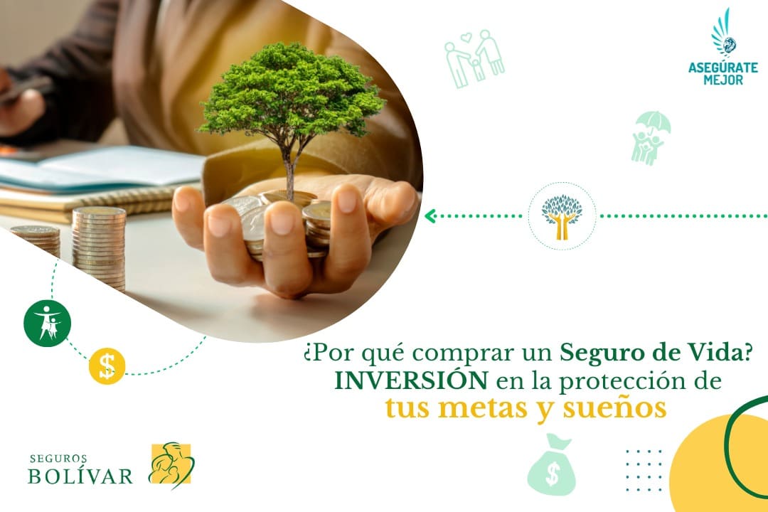 Planta creciendo sobre monedas, por qué comprar un seguro de vida